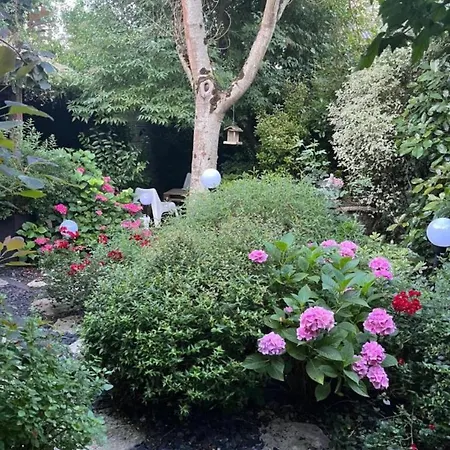 Chez Patou Bed & Breakfast *