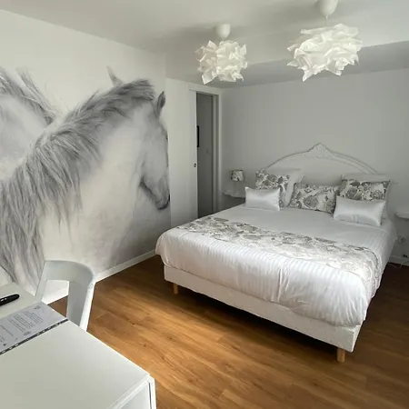 Chez Patou Bed & Breakfast Laval (Mayenne)
