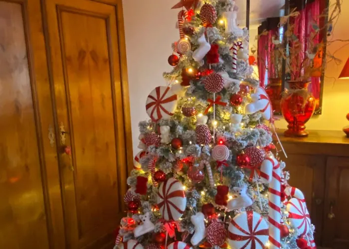 Bed & Breakfast Chez Patou